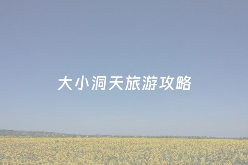 大小洞天旅游攻略（大小洞天景区门票价格）