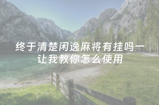 终于清楚闲逸麻将有挂吗一让我教你怎么使用（闲逸麻将怎么回事）