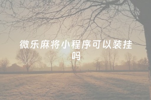 微乐麻将小程序可以装挂吗（微乐麻将小程序可以装挂吗安全吗）