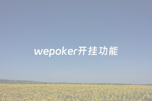 wepoker开挂功能（wepoker能不能开挂）