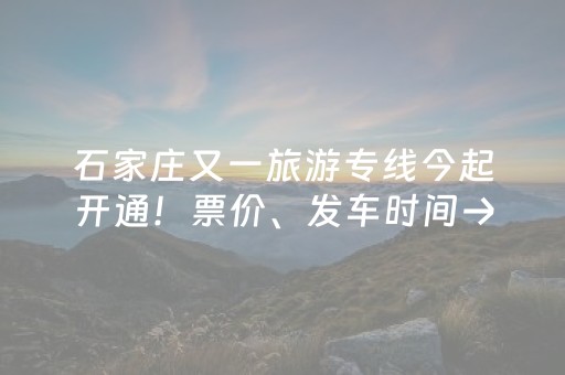 石家庄又一旅游专线今起开通！票价、发车时间→