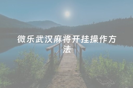 微乐武汉麻将开挂操作方法（微乐湖北麻将卡五星）