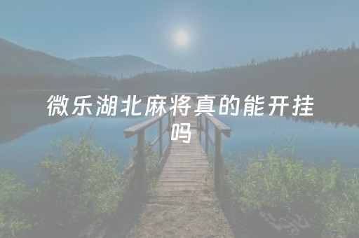 微乐湖北麻将真的能开挂吗（微乐武汉麻将怎么算分）