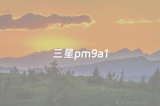 三星pm9a1（三星pm9a1和980区别）