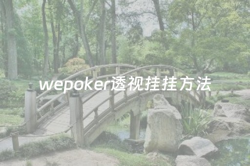 wepoker透视挂挂方法（wepoker透视挂被骗图）