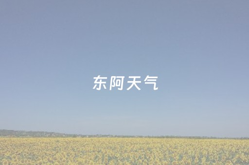 东阿天气（东阿天气48小时）