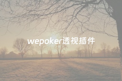 wepoker透视插件（wepoker透视脚本连接）