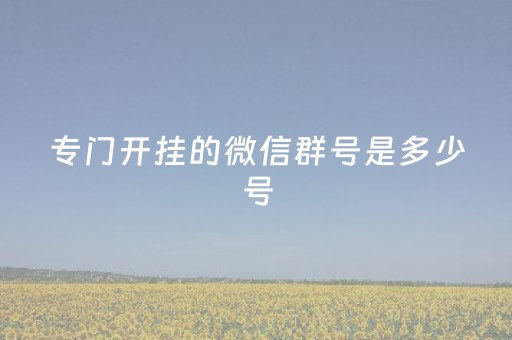 专门开挂的微信群号是多少号（专门开挂的微信群号是多少号啊）