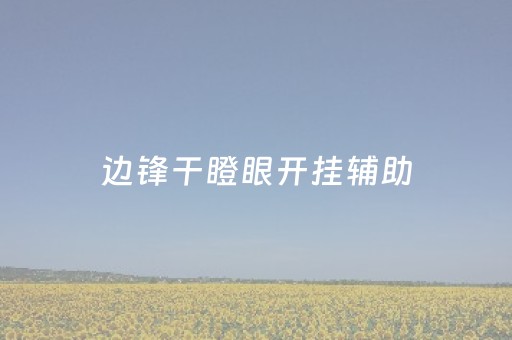 边锋干瞪眼开挂辅助（边锋干瞪眼方式）