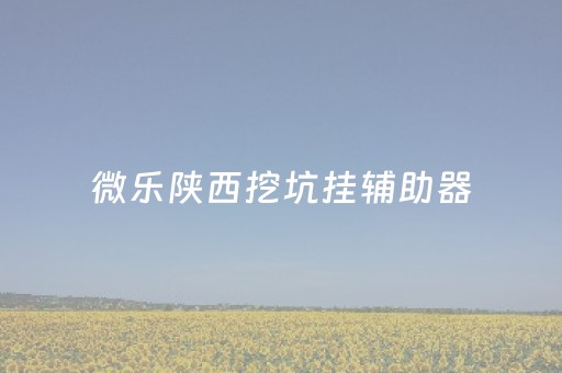 微乐陕西挖坑挂辅助器（微乐陕西挖坑有挂吗）