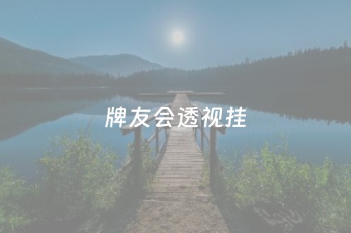 牌友会透视挂（牌友联盟透视助手）