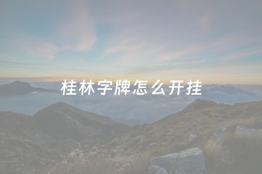 桂林字牌怎么开挂（桂林字牌如何开挂）