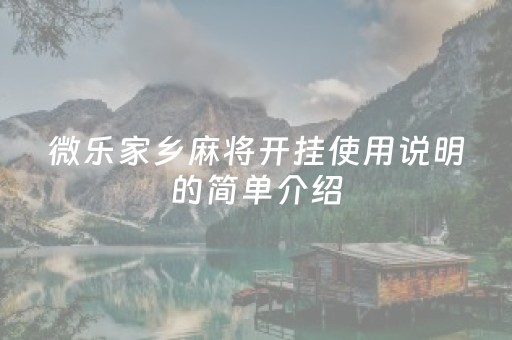 微乐家乡麻将开挂使用说明的简单介绍