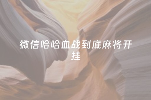 微信哈哈血战到底麻将开挂（血战麻将有没有挂）