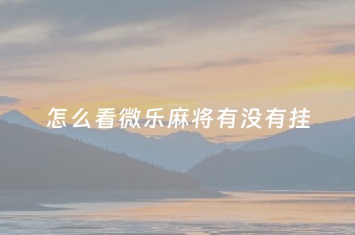 怎么看微乐麻将有没有挂（微乐麻将怎么查询别人战绩）