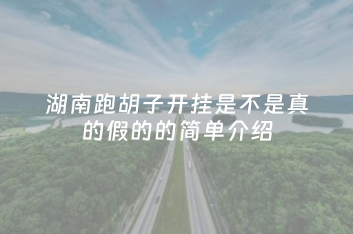 湖南跑胡子开挂是不是真的假的的简单介绍（湖南跑胡子技巧攻略?）