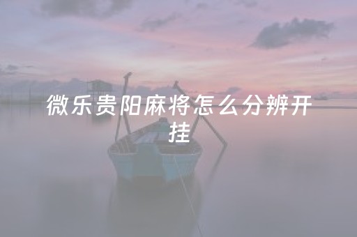 微乐贵阳麻将怎么分辨开挂（贵阳微乐麻将可以开挂不）