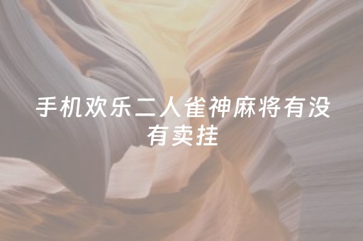 手机欢乐二人雀神麻将有没有卖挂（欢乐二人麻将手机版）