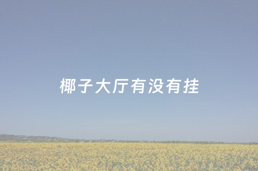 椰子大厅有没有挂（椰子挂件）