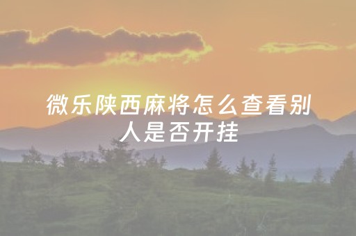 微乐陕西麻将怎么查看别人是否开挂（微乐麻将怎么能知道对方有挂）