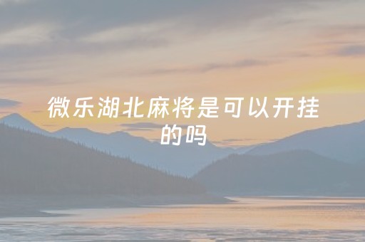 微乐湖北麻将是可以开挂的吗（微乐湖北麻将）