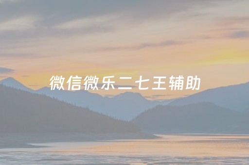 微信微乐二七王辅助（微信小程序微乐二七王有辅助吗）