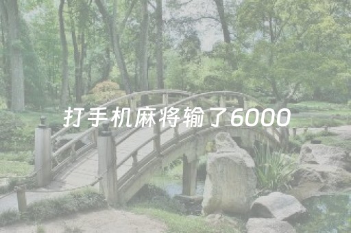 打手机麻将输了6000（打手机麻将输了几万）