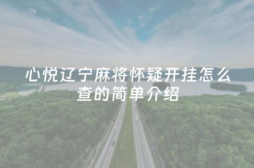 心悦辽宁麻将怀疑开挂怎么查的简单介绍