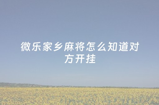 微乐家乡麻将怎么知道对方开挂（微乐麻将怎么看是否开挂）