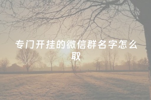 专门开挂的微信群名字怎么取（开挂聊天群）