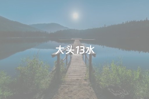 大头13水（大头十三水苹果版）