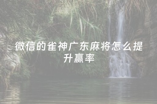 微信的雀神广东麻将怎么提升赢率（微信里的雀神广东麻将有没有挂）