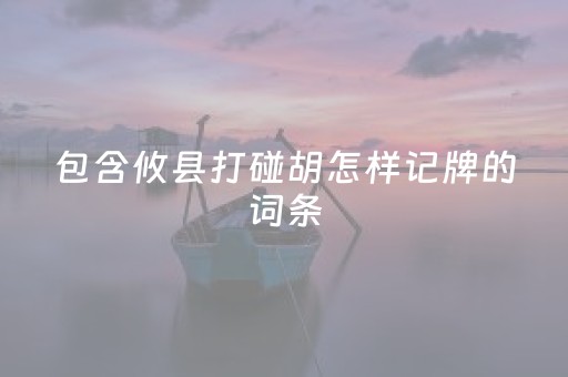 包含攸县打碰胡怎样记牌的词条（攸县碰胡手机版）