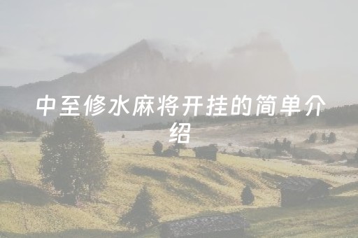 中至修水麻将开挂的简单介绍