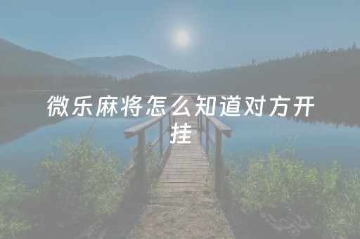 微乐麻将怎么知道对方开挂（微乐麻将如何判断对方开挂）