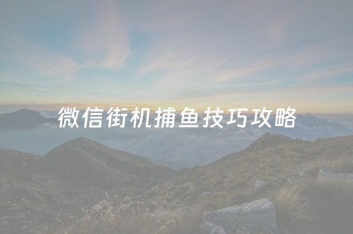 微信街机捕鱼技巧攻略（手机街机捕鱼,微,4346055）