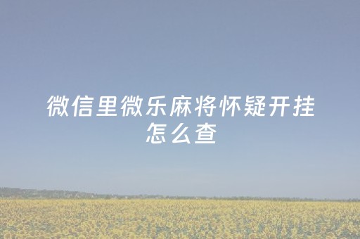 微信里微乐麻将怀疑开挂怎么查（微乐麻将怎么知道对方开挂）