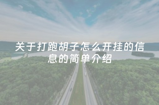 关于打跑胡子怎么开挂的信息的简单介绍