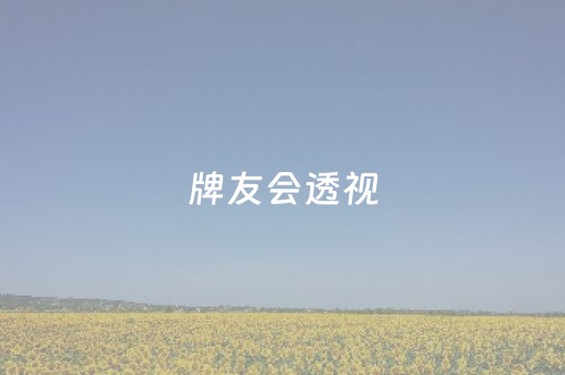 牌友会透视（牌友会辅助）