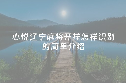 心悦辽宁麻将开挂怎样识别的简单介绍