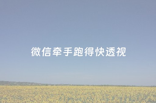 微信牵手跑得快透视（微信牵手跑得快透视游戏亮点）