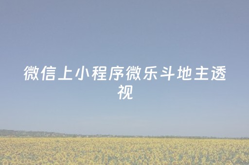 微信上小程序微乐斗地主透视（微信小程序微乐斗地主透视免费）