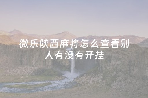 微乐陕西麻将怎么查看别人有没有开挂（微乐麻将怎么知道对方开挂）