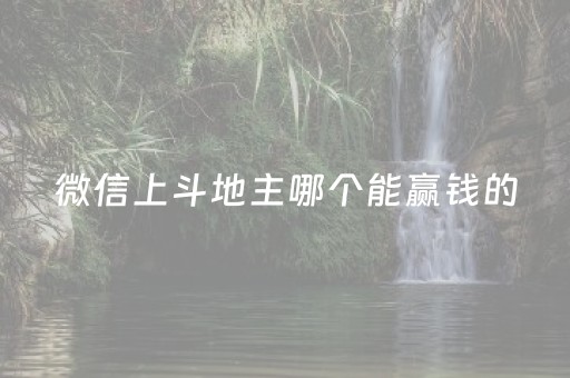 微信上斗地主哪个能赢钱的（微信里哪个斗地主可以赢钱）