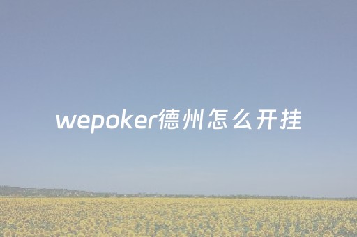 wepoker德州怎么开挂（wepoker德州开挂辅助方法）