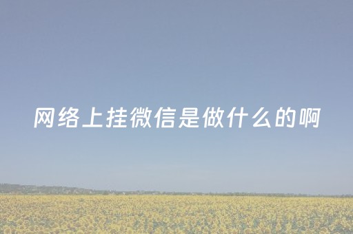 网络上挂微信是做什么的啊（网络挂微信号）