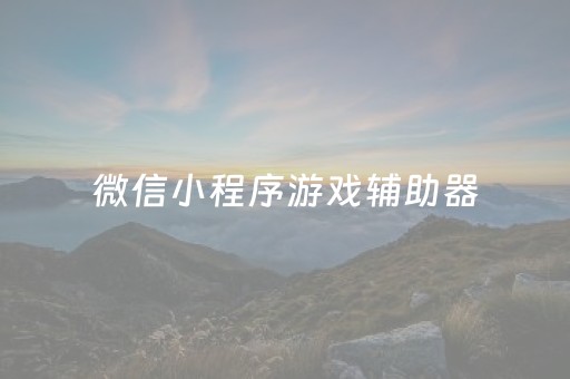 微信小程序游戏辅助器（微信小程序游戏辅助器有用吗）