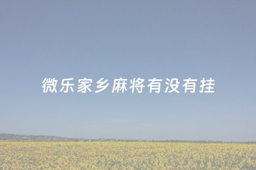 微乐家乡麻将有没有挂（微乐家乡麻将有没有挂有挂吗开挂神器）