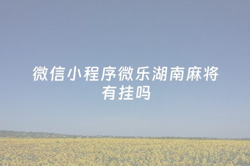 微信小程序微乐湖南麻将有挂吗（微乐湖南麻将可以开挂吗）