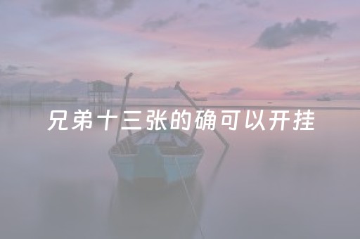 兄弟十三张的确可以开挂（兄弟十三水破解）